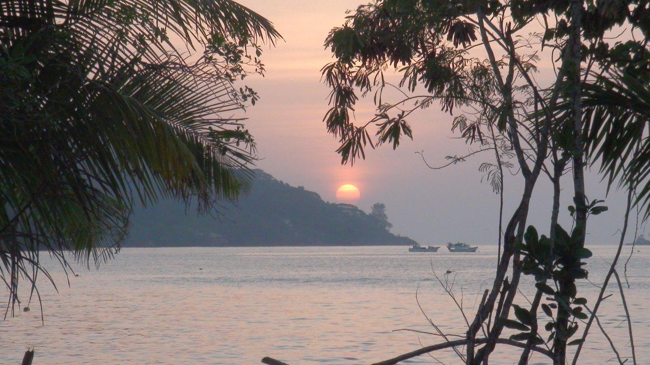 DSC00671