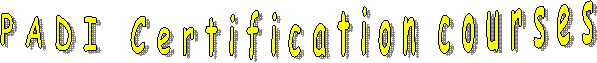 P A D I C e r t i f i c a t i o n c o u r s e s