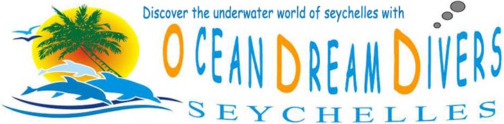Ocean Dream Divers