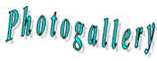 P h o t o g a l l e r y