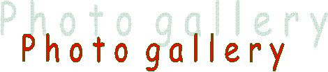 P h o t o g a l l e r y